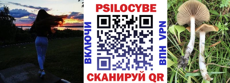 Галлюциногенные грибы Psilocybe  хочу   мега зеркало  Кораблино 